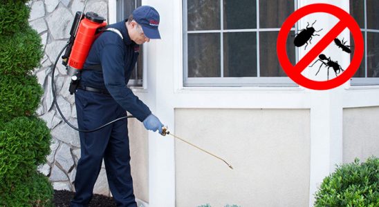 Sarıoğlan Kene İlaçlama böcek ilaçlama ve haşere kontrolü — ilaclama-tr.com